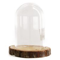 Decoratie stolp - glas - houten bruin boomschijf plateau - D13 x H17,5 cm