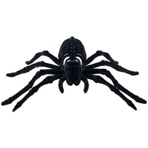 Chaks spin skelet 22 cm - zwart - velvet/fluweel tarantula - Horror/griezel thema decoratie beestjes