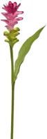 Pure Royal kunsttak gember lelie 75cm roze