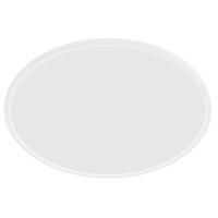 Philips Witte plafonnièreSuperSlim Ø 25cm - 929003191201