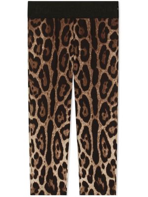 Dolce & Gabbana Kids legging en soie à imprimé léopard - Marron