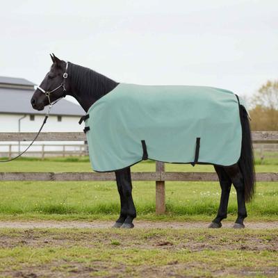 VidaXL Paardendeken speciale groen polyester