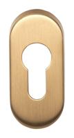 Formani Basics LBY32 cilinderplaatje ovaal - PVD mat goud