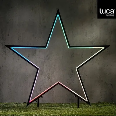 Garden d light neon tuinsteker ster zwart RGB IP44 timer afstandsbediening - l60xh73cm