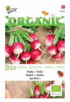 Zaden Organic Radijs Sparkler 2 (BIO) Buzzy - Buzzy