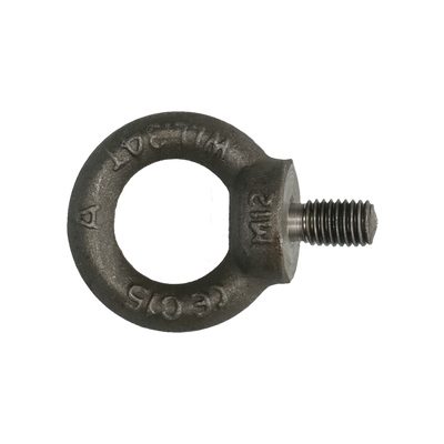 pgb-Europe PGB-FASTENERS | Oogbout C15E DIN 580 M 8 | 50 st 58000000803