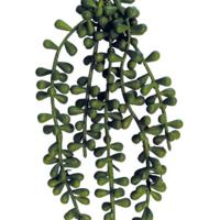 Repto Aquadistri plant dark green 37 cm - Aquadistri