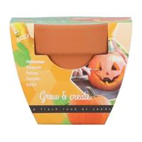 Grow gifts kweekset groeicadeautje pompoen - Buzzy