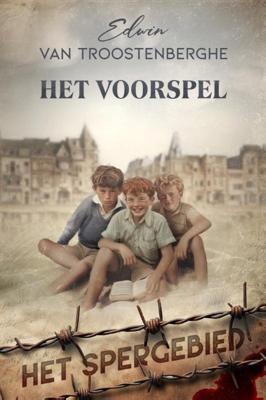 Het voorspel (Paperback)