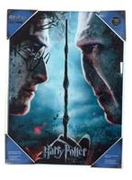 Harry Potter Glass Poster Harry & Voldemort 30 x 40 cm