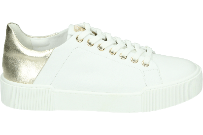 Hogl 103601 - alle
