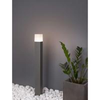 Lyora PadverlichtingStick grijs 80cm - 71371101