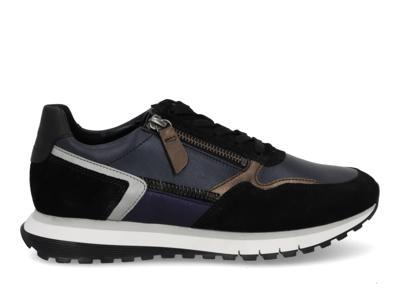 Gabor 76.378.36 ocean schwarz multi blauw maat 37