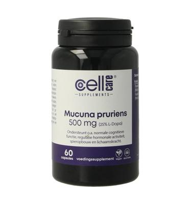 Mucuna pruriens 500mg (25% L-dopa)
