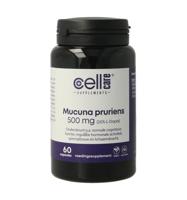 Mucuna pruriens 500mg (25% L-dopa)