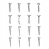 Set stalen schroeven verzinkt rond ø 0,4 cm en lengte 2 cm - 16 stuks