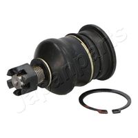 Fuseekogel BJ251