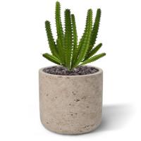 Euphorbia mini kunst Cactus 20cm