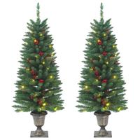 VidaXL Kunstkerstbomen 2 st 100 led's 120 cm groen VidaXL Kunstkerstbomen 2 st 100 led's 120 cm groen