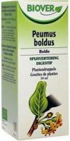 Biover Peumus boldus bio