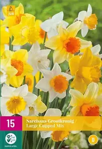 X 15 Narcissus Grootkronig mix