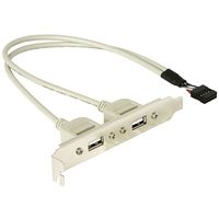 Delock Slotbracket 1x internal USB 5pin > 2x USB2.0 external PC-slot 1 stuk(s) - thumbnail