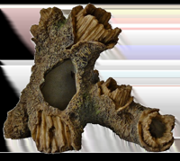 Superfish Forest Deco Wood deco tree small