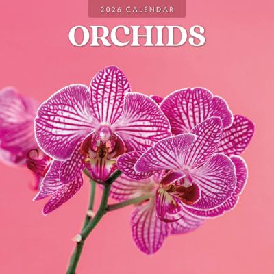 Orchidee Kalender 2026