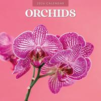 Orchidee Kalender 2026