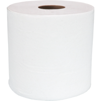 Poetspapier | op rol | 19cm | papier | wit | 6 stuks