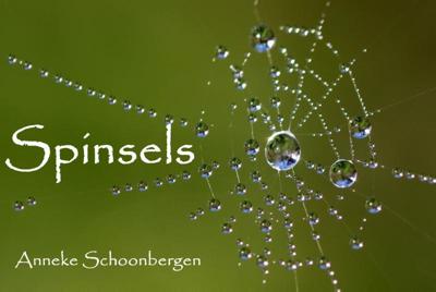 Spinsels (Paperback)