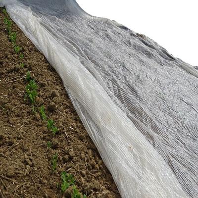 KLIMAATDOEK | 3m x 4m