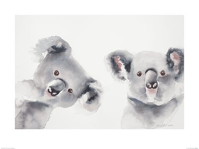 Koala's Art Print Aimee Del Valle 60x80cm Koala's Art Print Aimee Del Valle 60x80cm
