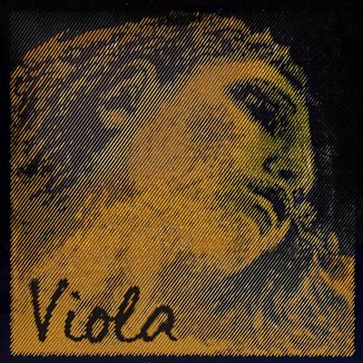 Pirastro P425421 altvioolsnaar C-4