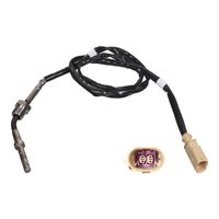Uitlaatgastemperatuursensor 100848