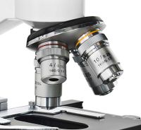 Bresser Optik Erudit DLX Doorlichtmicroscoop Monoculair 600 x Doorvallend licht - thumbnail