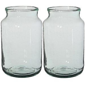 2x Cilinder vaas / bloemenvaas transparant glas 30 x 18 cm