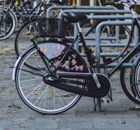 Fietssticker roze vlinders