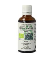 Glechoma hederacea/hondsdraf bio - thumbnail