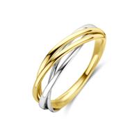 14k Bicolor Geel- en Witgouden Ring 14k Bicolor Geel- en Witgouden Ring