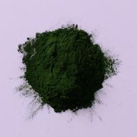 Chlorella poeder (bio) 120 gram