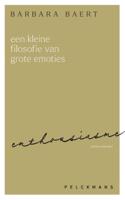 Een kleine filosofie van grote emoties: Enthousiasme (Paperback)
