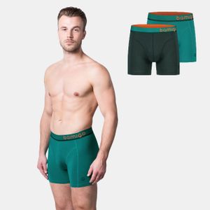 Bamigo Bamboe Boxershorts – Heren – Emerald/Groen – 2-pack