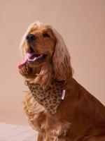 Bandana voor honden FAMILY bruin, bedrukt