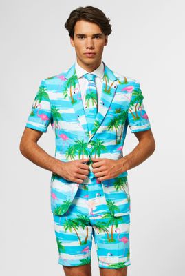 Summer Flamingo suit
