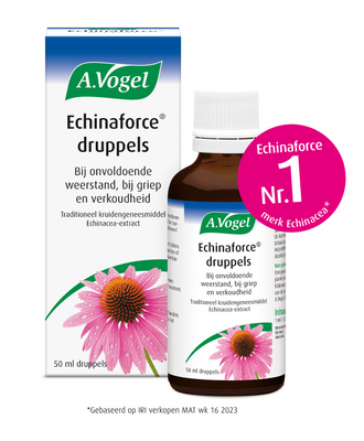 A.Vogel Echinaforce Druppels