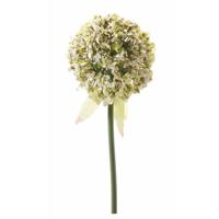 Kunstbloem - Sierui / Allium - wit/groen - 70 cm - kunststof decoratie