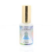 Lichtwesen Boom geurspray 32 (30 ml)