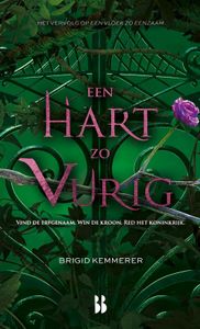 Een hart zo vurig - Brigid Kemmerer - ebook