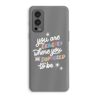 Right Place: OnePlus Nord 2 5G Transparant Hoesje